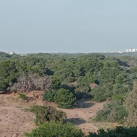 Sabah Gunesi Cift Kisilik